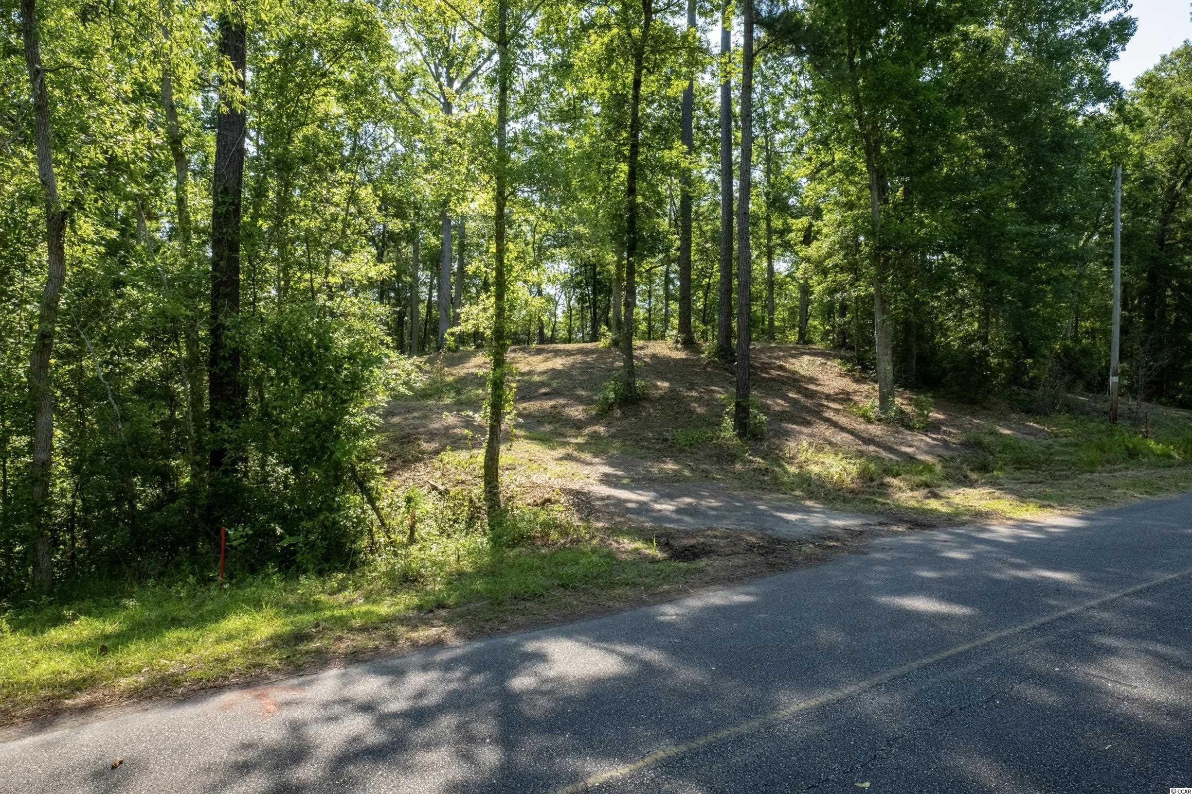 Tbd Francis Marion Drive Georgetown, SC 29440 - Photo 8 of 28