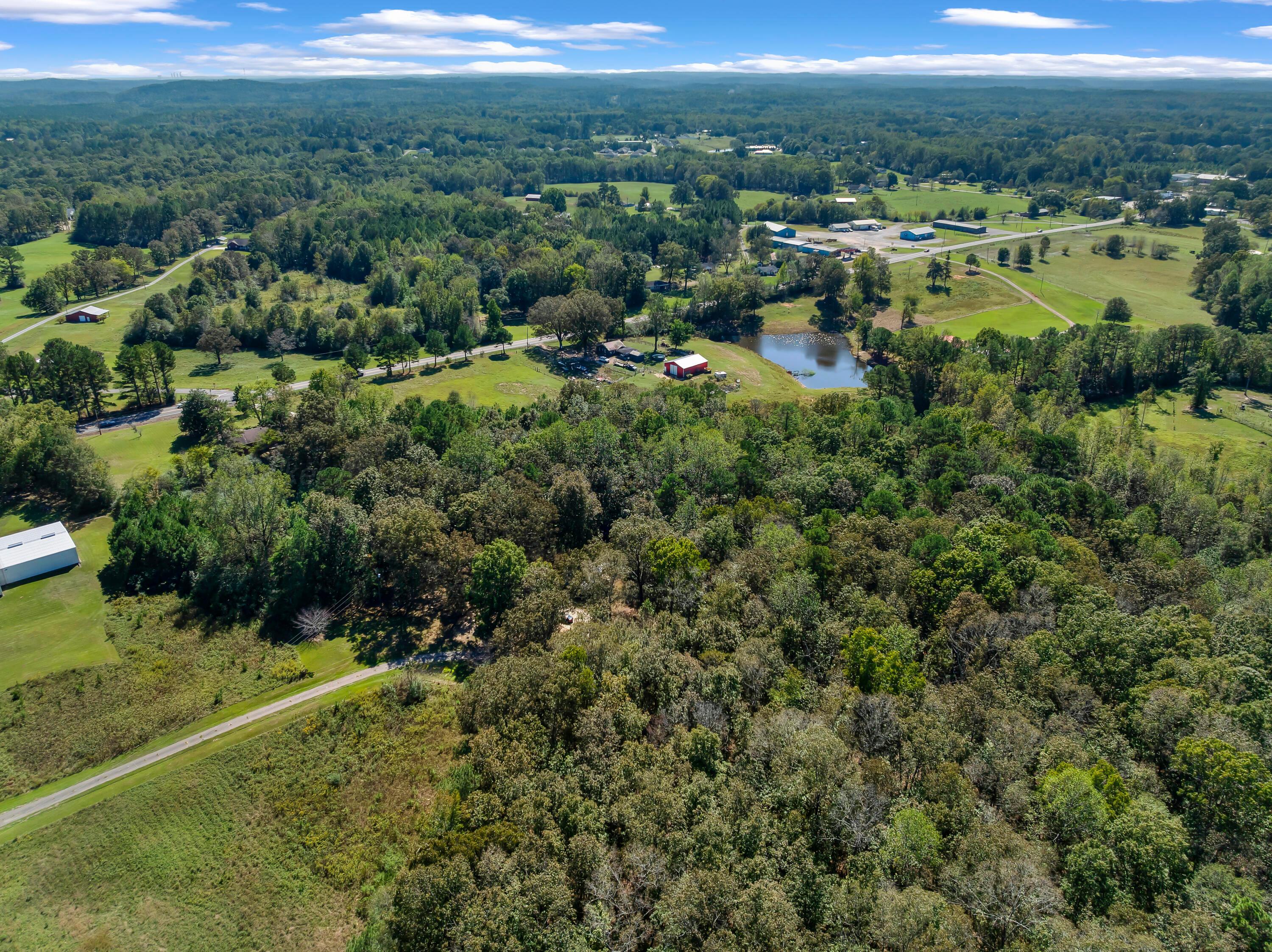 121 Mack Borden Road Jasper, AL 35504 - Photo 18 of 41 DJI_20251010120521_0264_D-Edit