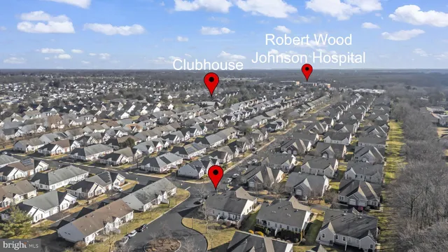 a small yard with flowers