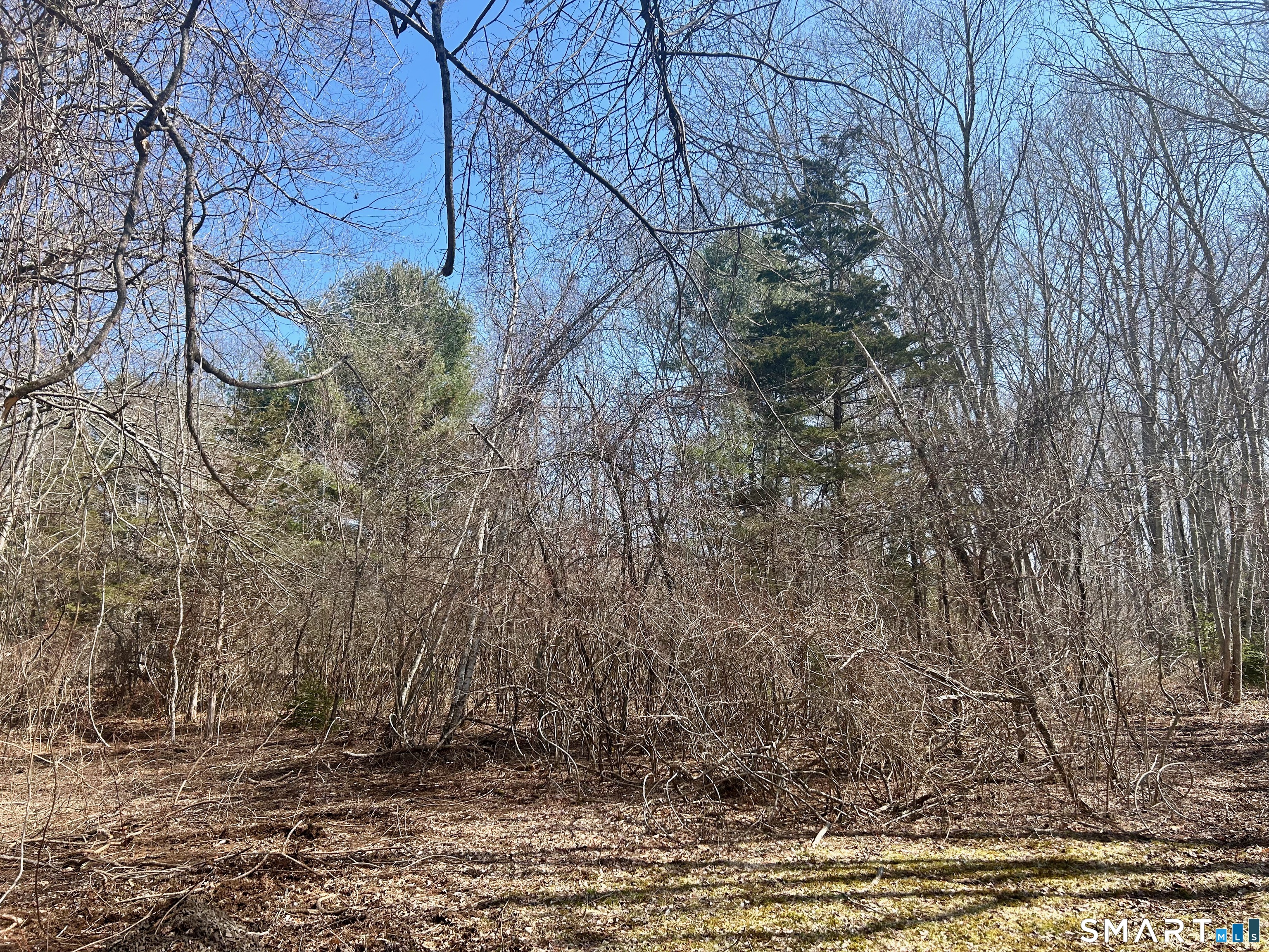 Reilly Road Hampton, CT 06247 - Photo 6 of 8