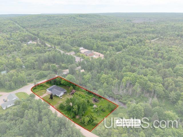 N8766 Peter White Road Deerton, MI 49822 - Photo 41 of 56