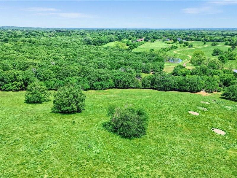 1747 Desvoignes Road Denison, TX 75021 - Photo 13 of 40 a view of a big yard with a plants and large trees
