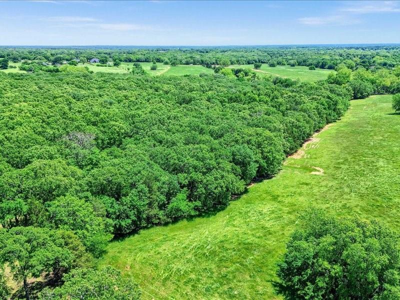 1747 Desvoignes Road Denison, TX 75021 - Photo 19 of 40 a view of a garden