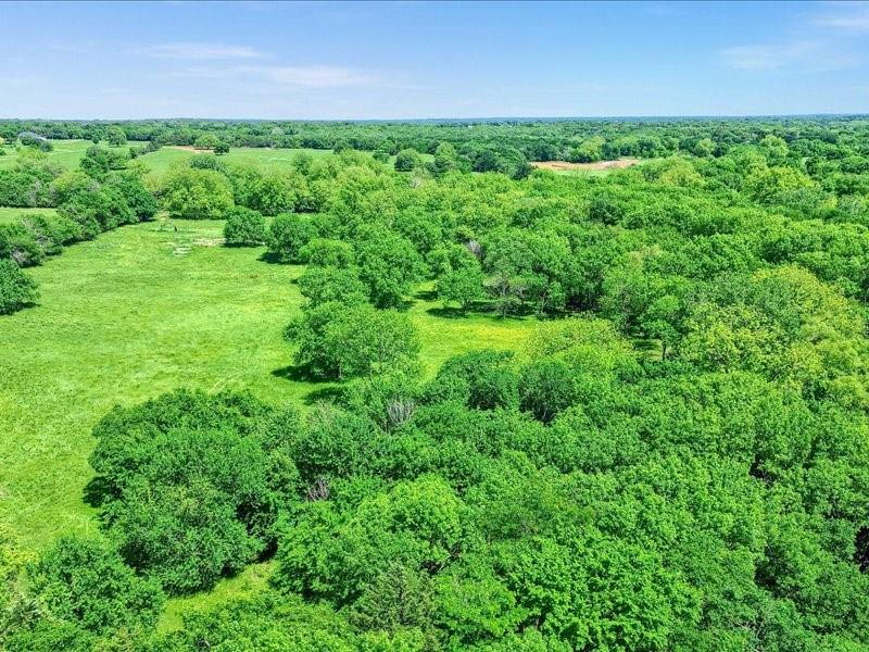 1747 Desvoignes Road Denison, TX 75021 - Photo 21 of 40 a view of a big yard with plants and large trees