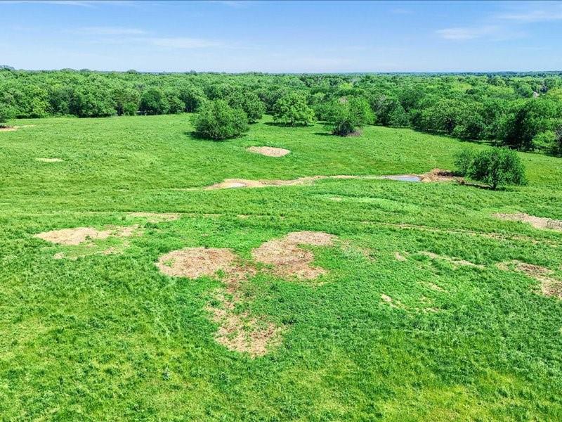 1747 Desvoignes Road Denison, TX 75021 - Photo 32 of 40 a view of a green field with lots of green space
