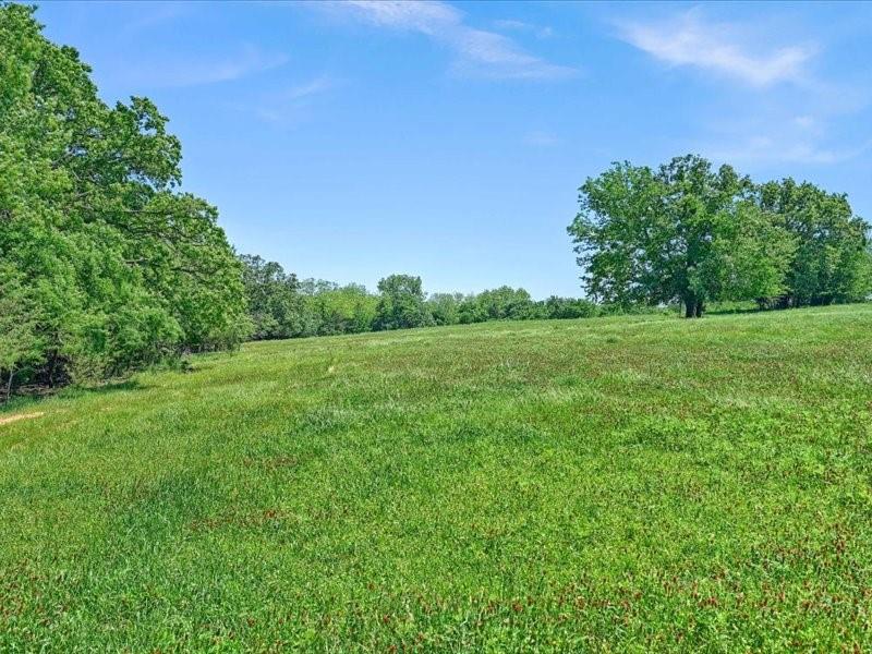 1747 Desvoignes Road Denison, TX 75021 - Photo 35 of 40 a view of a lush green space