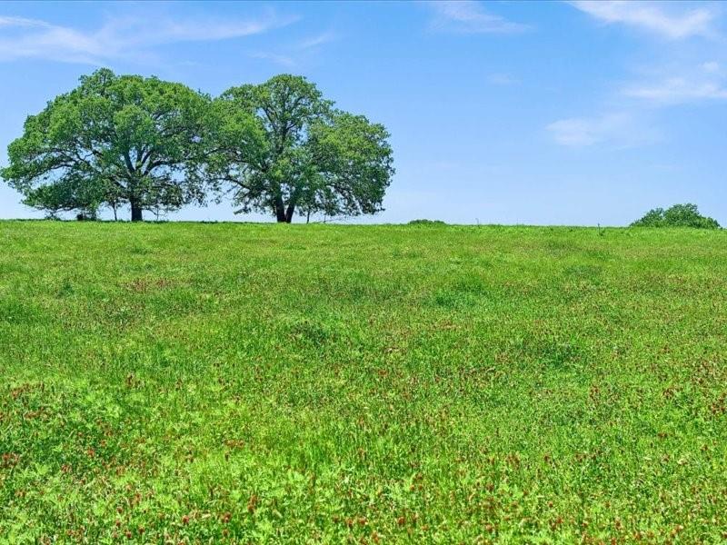 1747 Desvoignes Road Denison, TX 75021 - Photo 36 of 40 a view of garden view