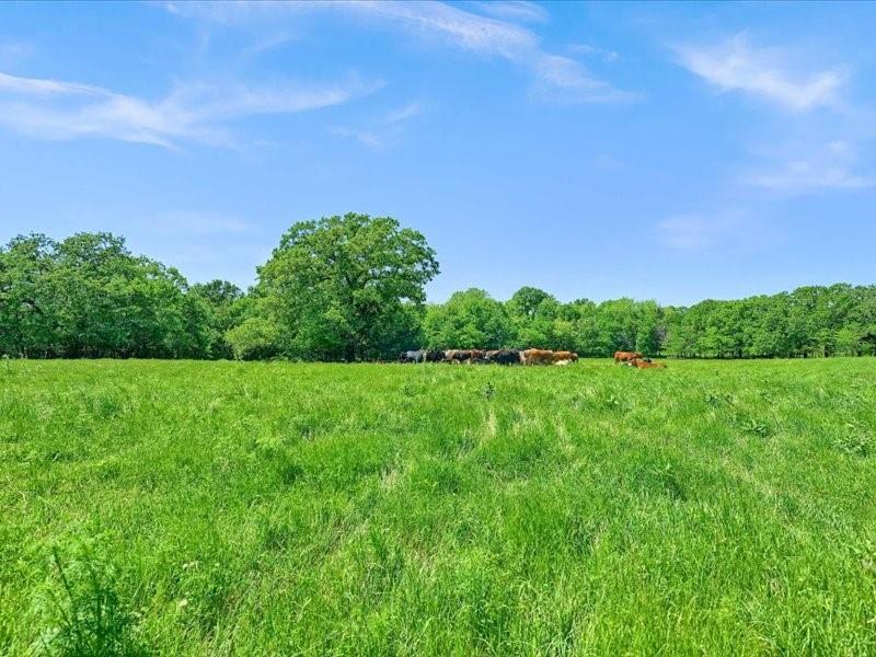 1747 Desvoignes Road Denison, TX 75021 - Photo 37 of 40 a view of a field with trees in the background