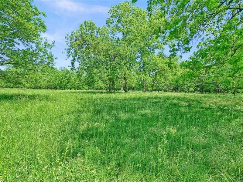 1747 Desvoignes Road Denison, TX 75021 - Photo 38 of 40 a backyard of a house with lots of green space and plants
