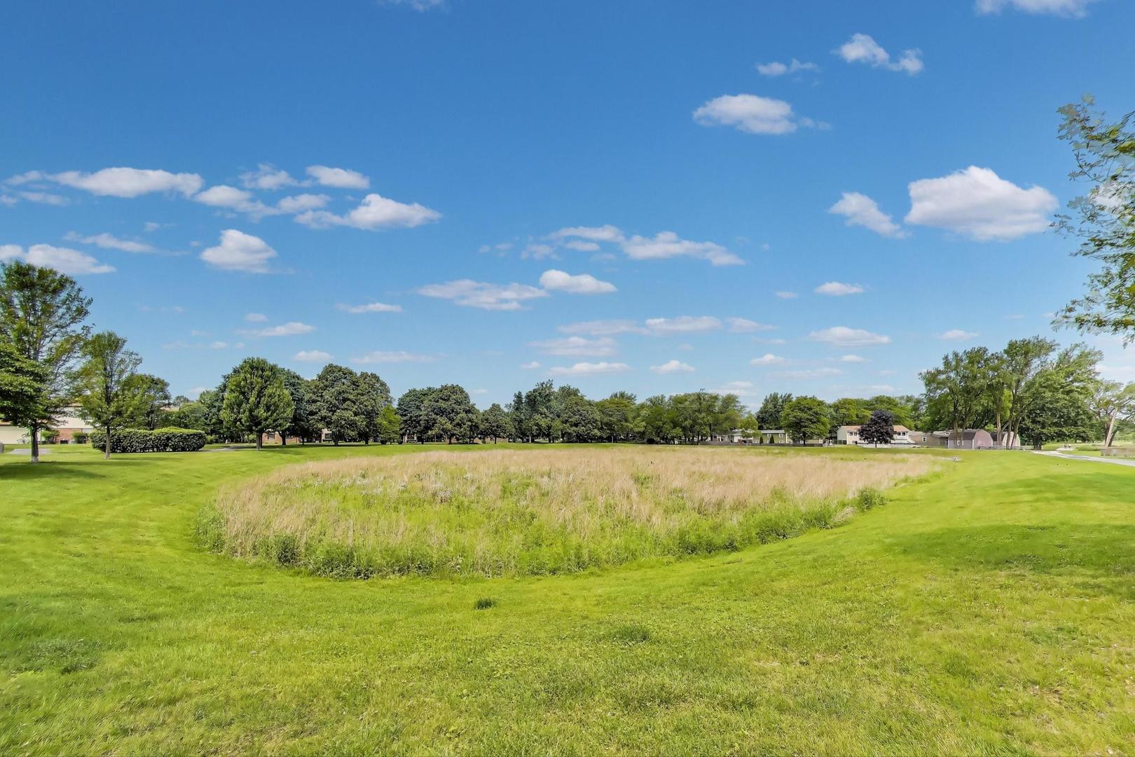 738 Hapsfield Lane, Unit 7A2 Buffalo Grove, IL 60089 - Photo 28 of 29 a view of an ocean and a mountain