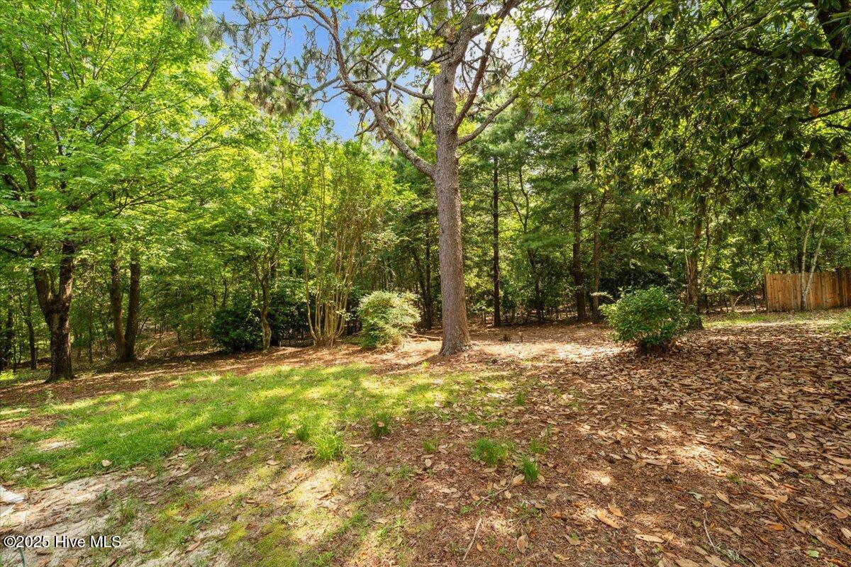 143 Shagbark Road West End, NC 27376 - Photo 12 of 70 Backyard - Pic 1