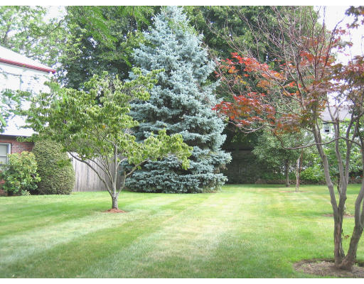 74 Mosman Street Newton, MA 02465 - Photo 6 of 6