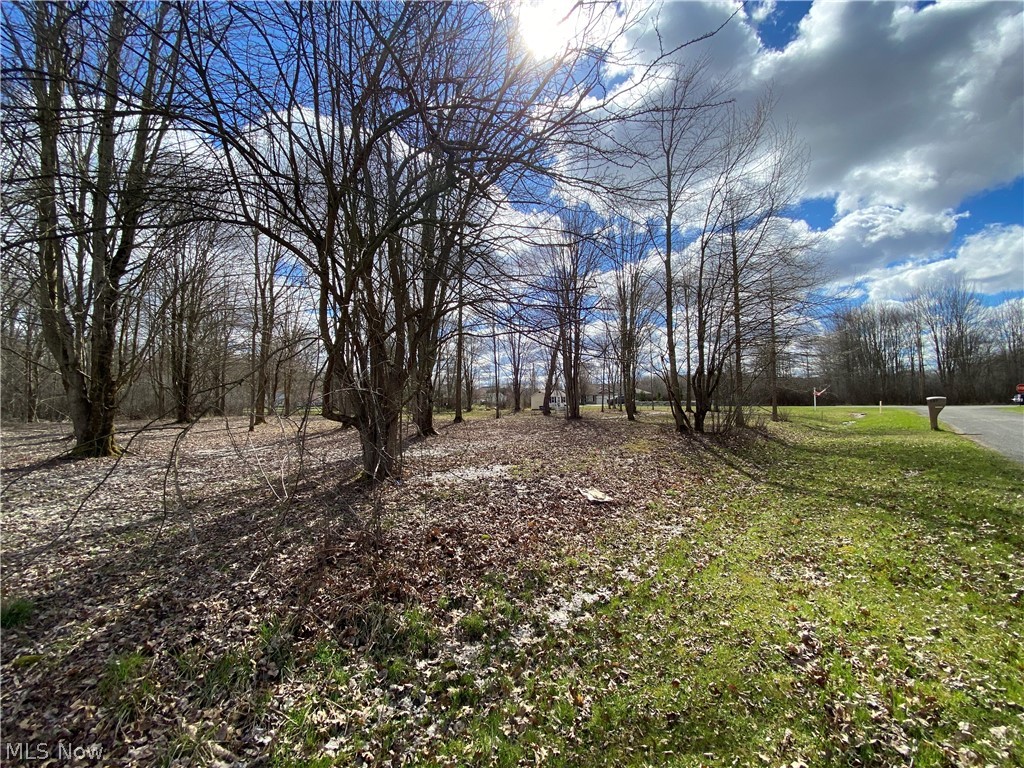 123 Roaming Way Rome, OH 44085 - Photo 10 of 17 View of yard