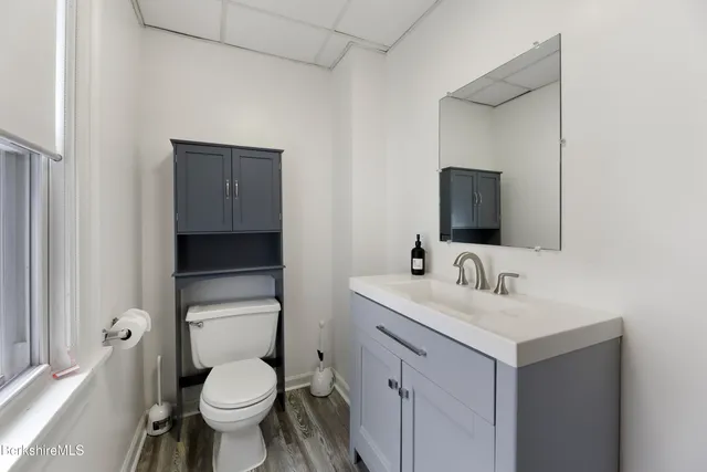 a bathroom with a toilet sink a mirror and vanity