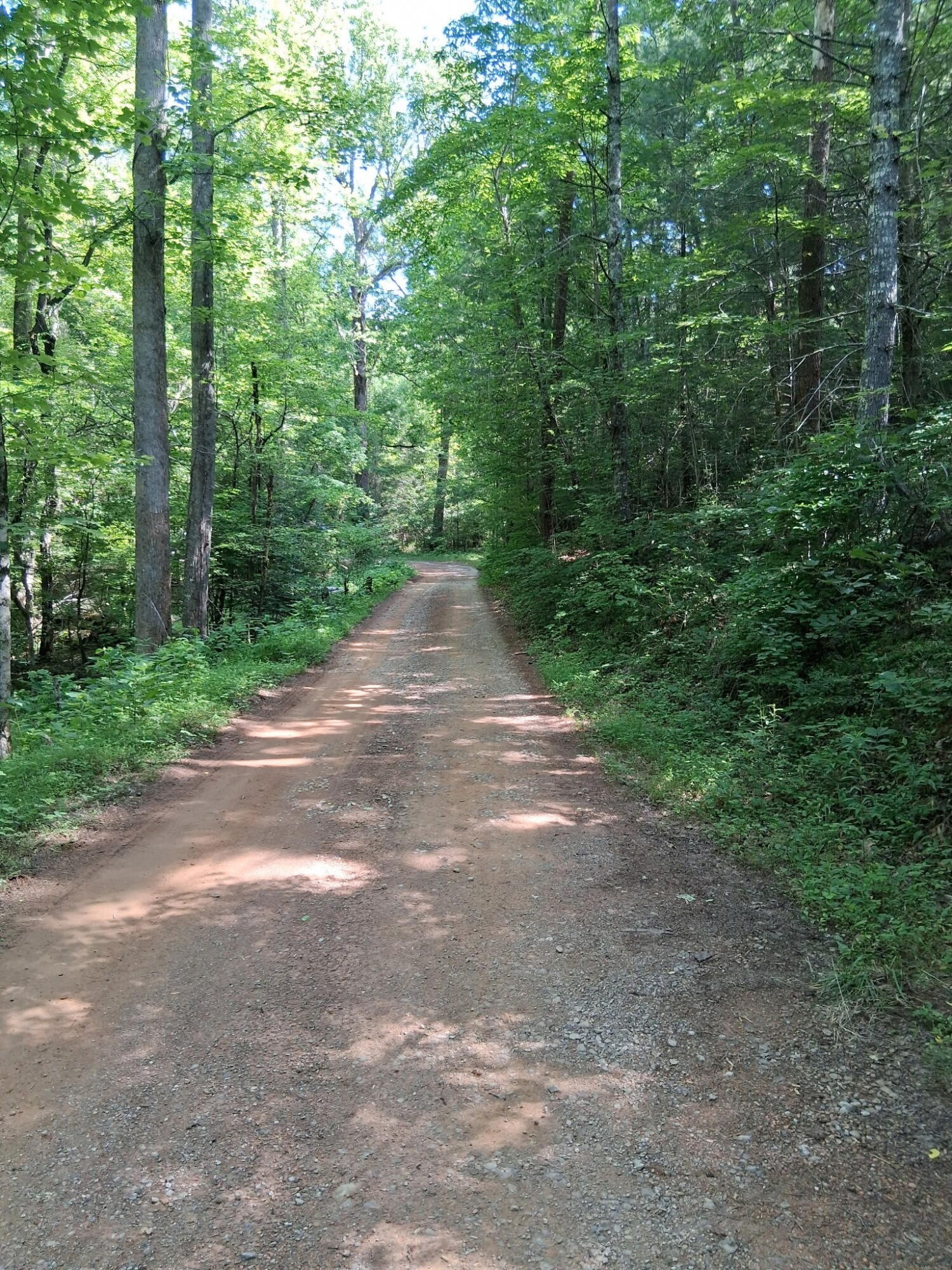 0 Tinker Branch Road Reliance, TN 37369 - Photo 17 of 17