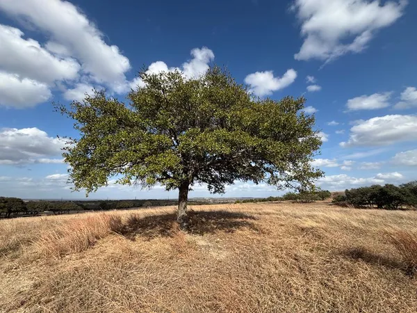 $375,000 | 0 Watch Hill Lane, Stonewall, TX 78671