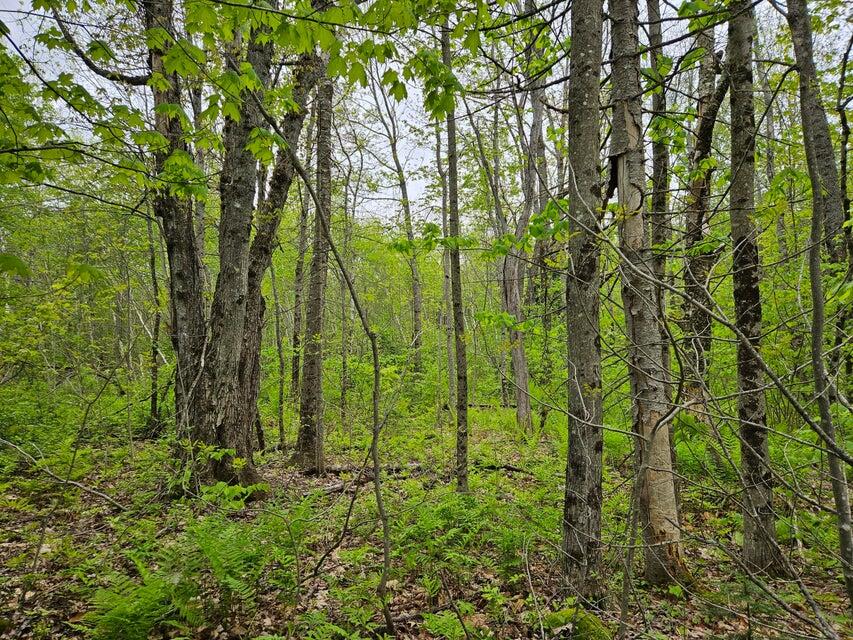 681 Mile Hill Road New Sharon, ME 04955 - Photo 1 of 11 1