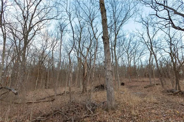 $200,000 | 0 S Street, Lee's Summit, MO 64086