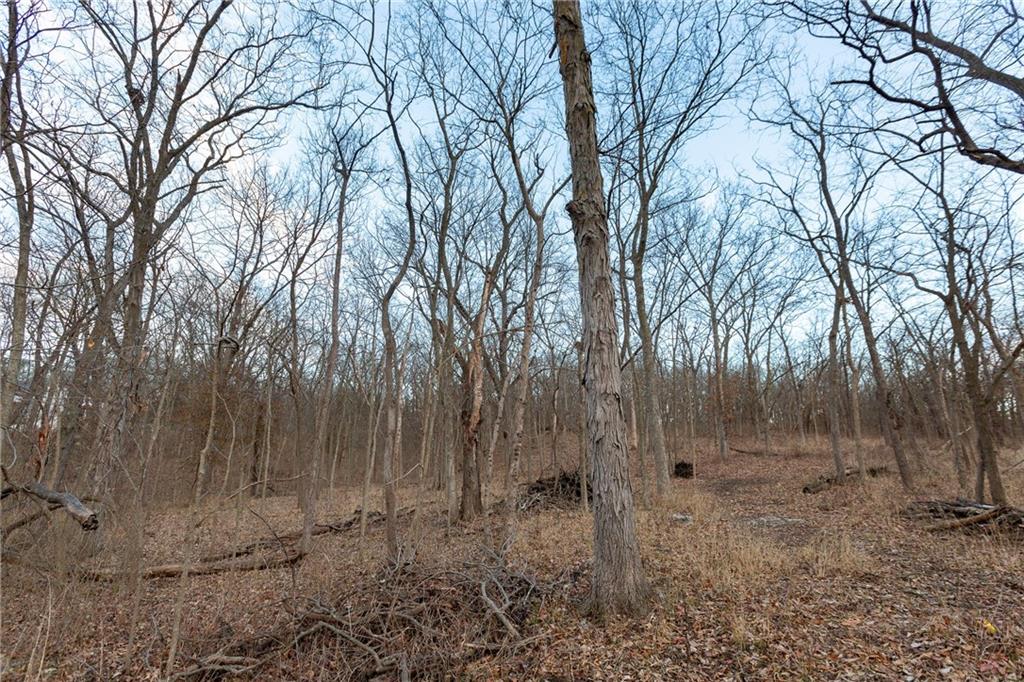 0 S Street Lee's Summit, MO 64086 - Photo 20 of 24