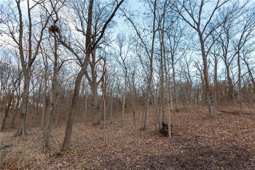 0 S Street Lee's Summit, MO 64086 - Photo 21 of 24