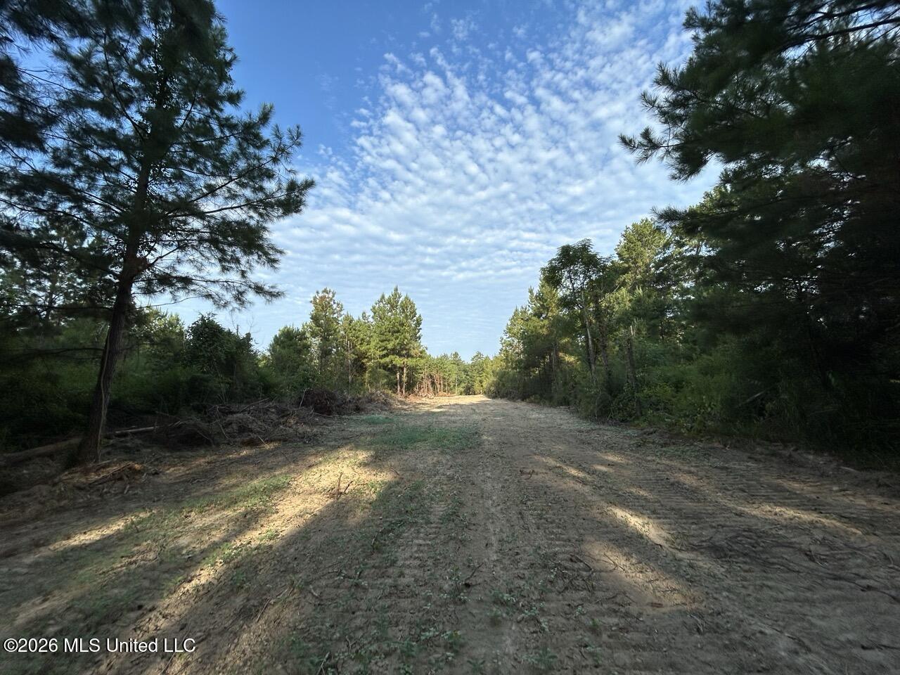 5 Old Oldenburg Road Meadville, MS 39653 - Photo 22 of 39 IMG_5566 Large
