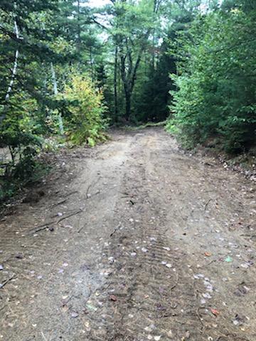 44b Christian Hill Road Lovell, ME 04051 - Photo 3 of 3 shep land driveway2