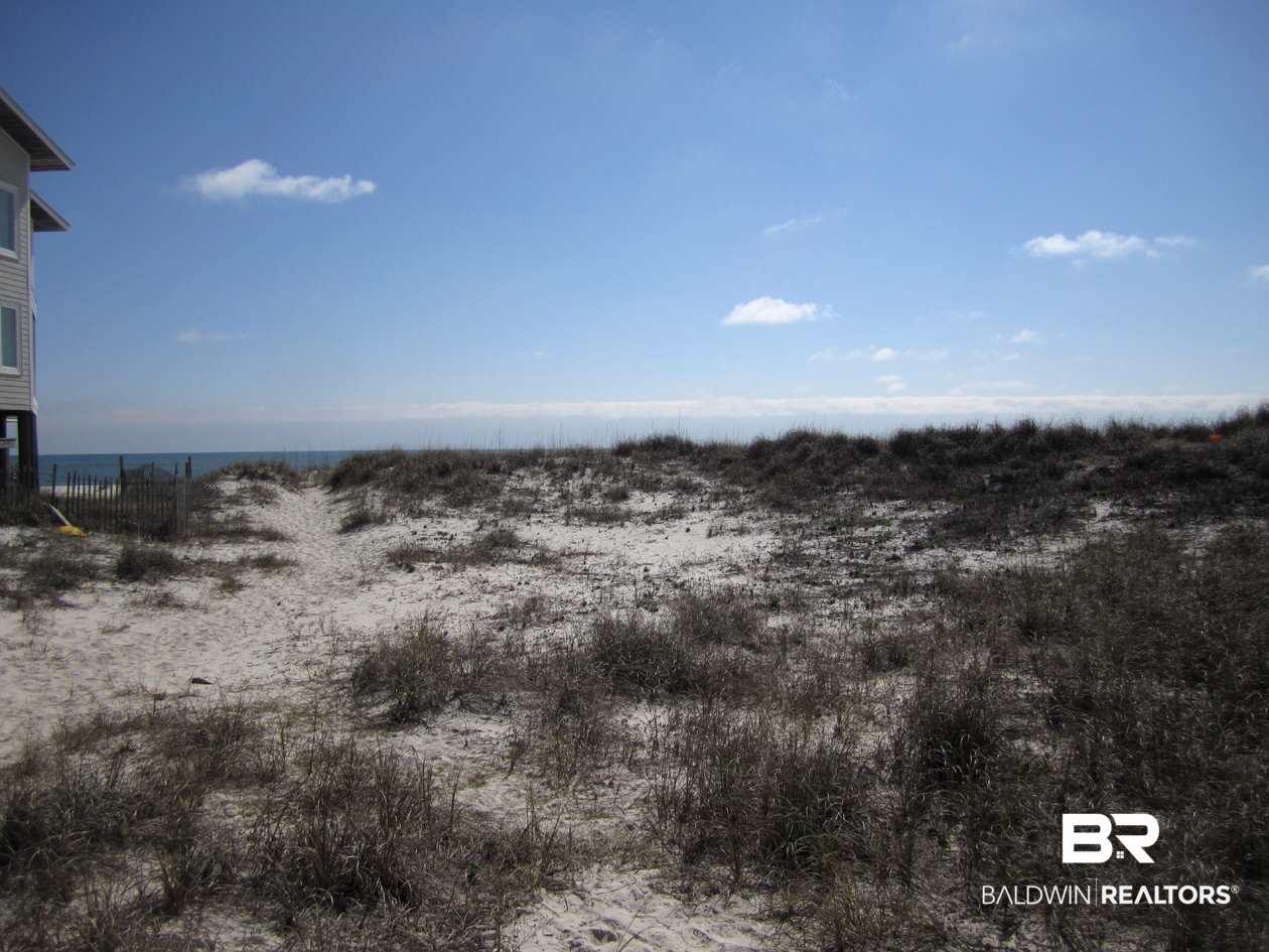 Brandt Lane Gulf Shores, AL 36542 - Photo 4 of 22 View of Lot