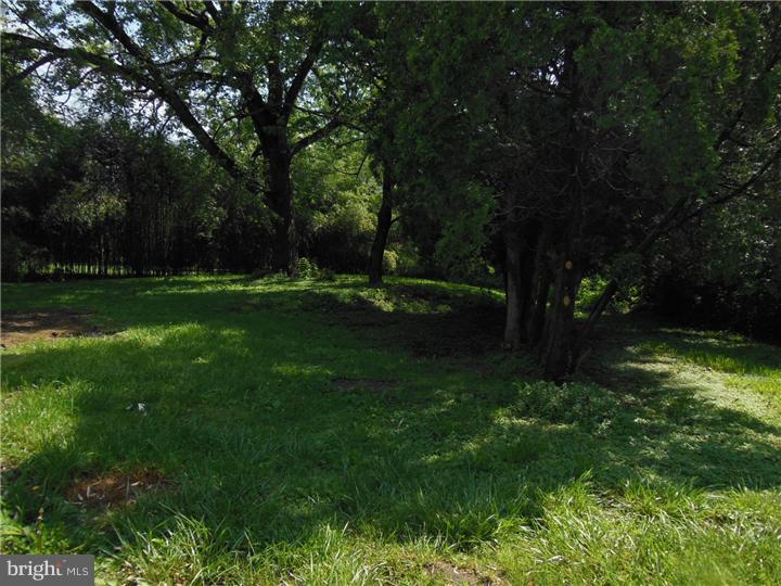 43 South Pennell Road Media, PA 19063 - Photo 14 of 15 Side Yard