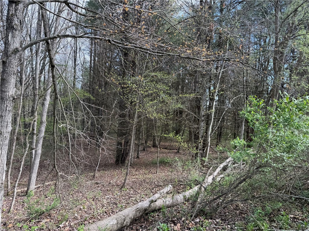 9155 Smith Road Lindley, NY 14870 - Photo 10 of 33