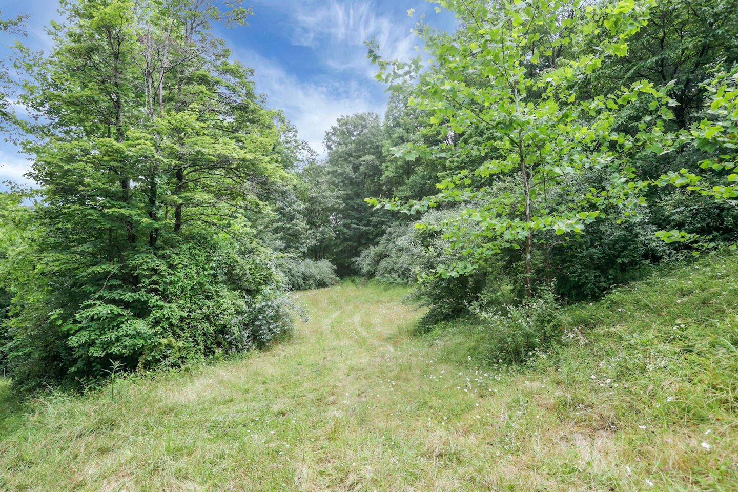 16749 Mush Run Road Athens, OH 45701 - Photo 8 of 37 12-web-or-mls-LO5A4535