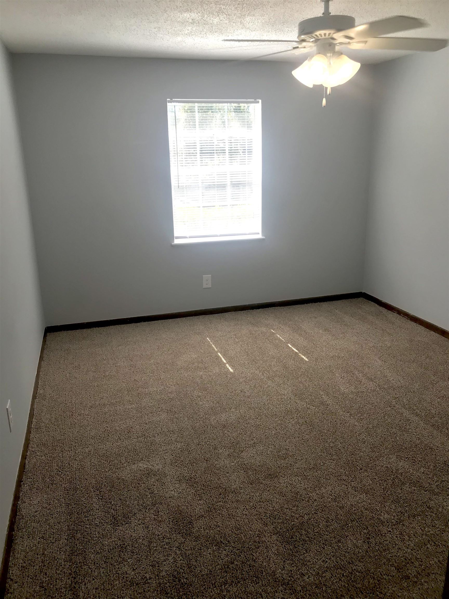 324 South Lipona Road, Unit 7 Tallahassee, FL 32304 - Photo 5 of 8