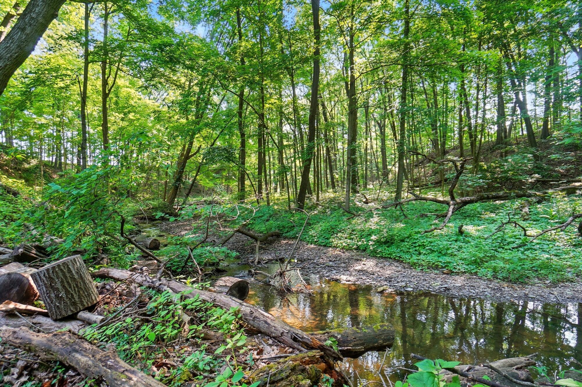 998 Braumiller Road Delaware, OH 43015 - Photo 45 of 48 072
