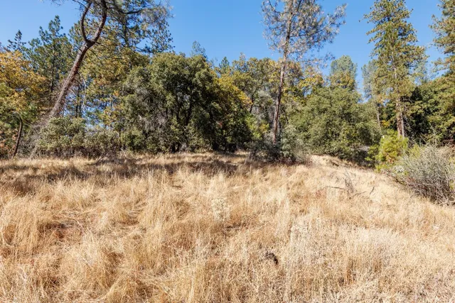 a view of small yard
