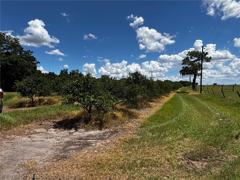 Rhynn Road Wauchula, FL 33873 - Photo 4 of 11