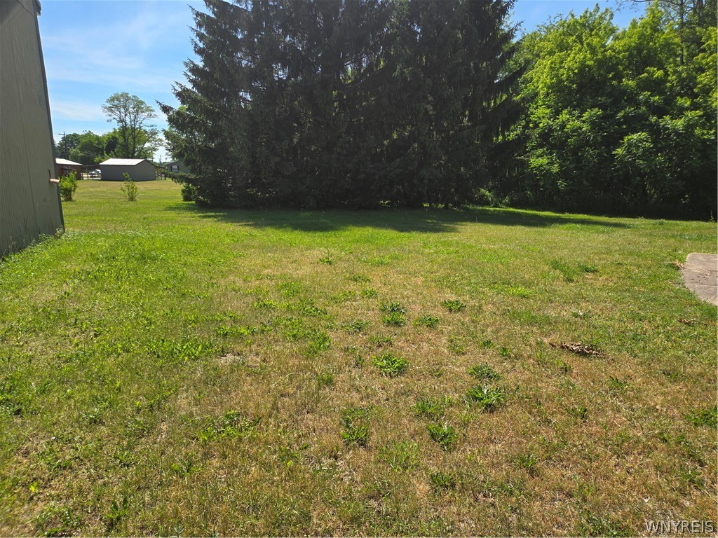 12507 Ridge Road Ridgeway, NY 14103 - Photo 14 of 22 yard