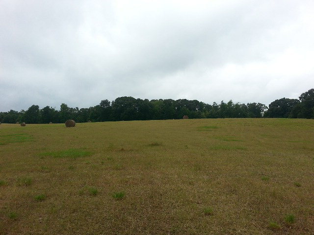 124 North Cross Road Gray, GA 31032 - Photo 3 of 7 a view of lake with green space
