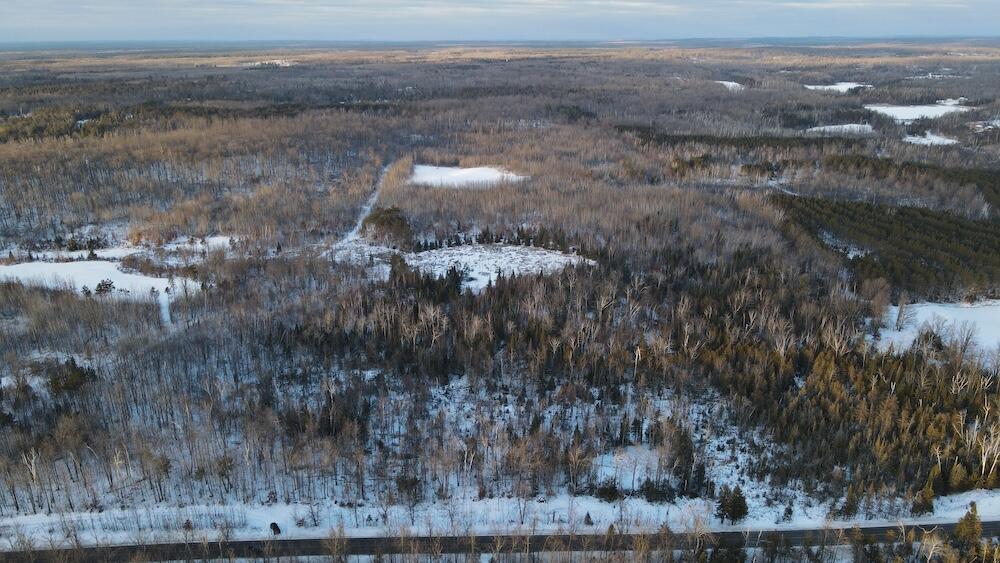 152-acres West Miller Road Mio, MI 48647 - Photo 48 of 137 DJI_0509