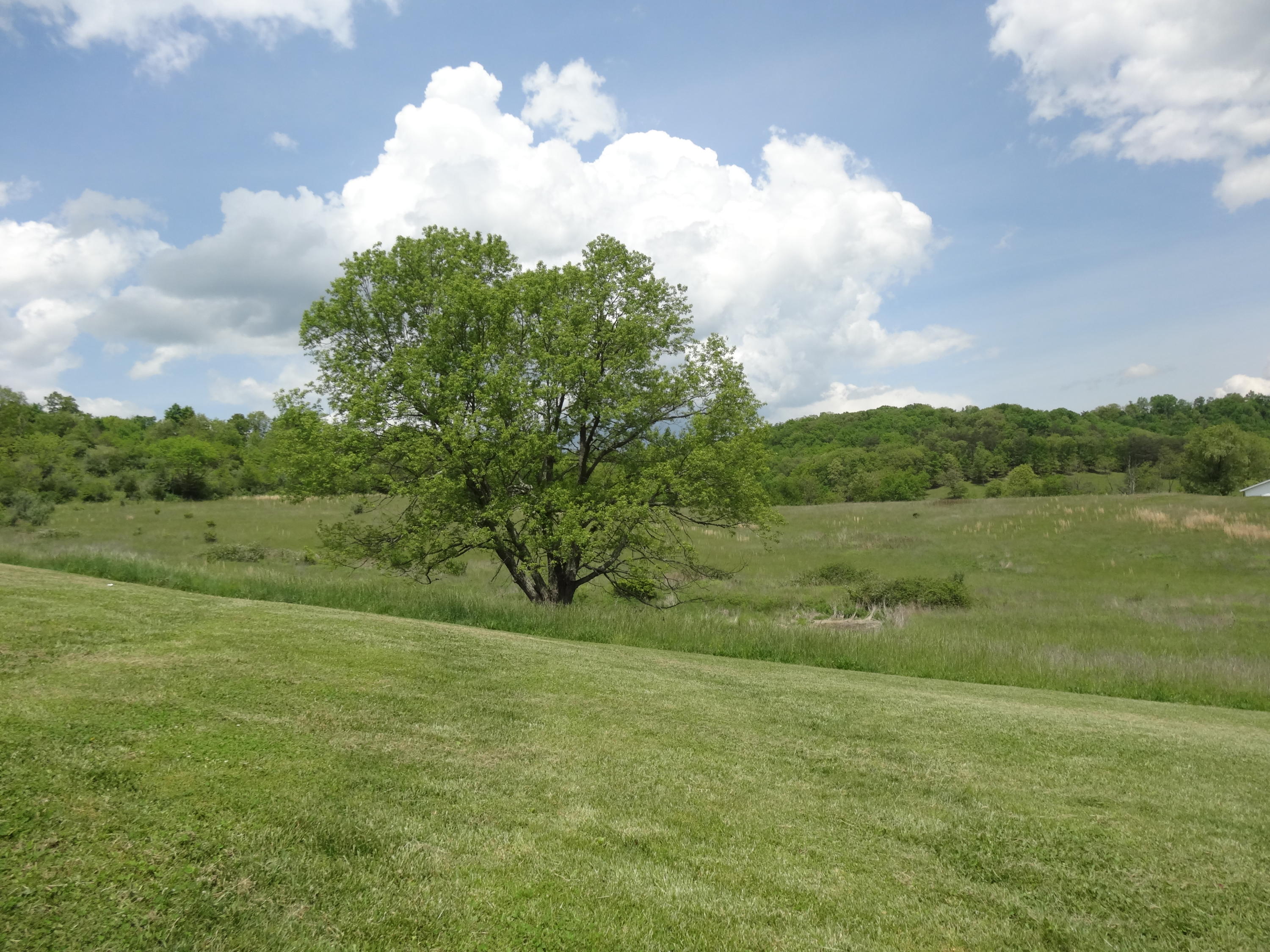 951 Adair Road Peterstown, WV 24963 - Photo 41 of 45 Gallery Image 41