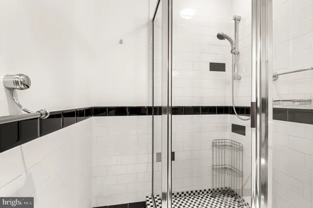 a view of a backyard with plants and large trees