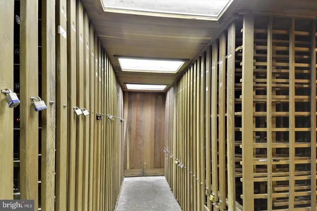 a huge green field with lots of trees