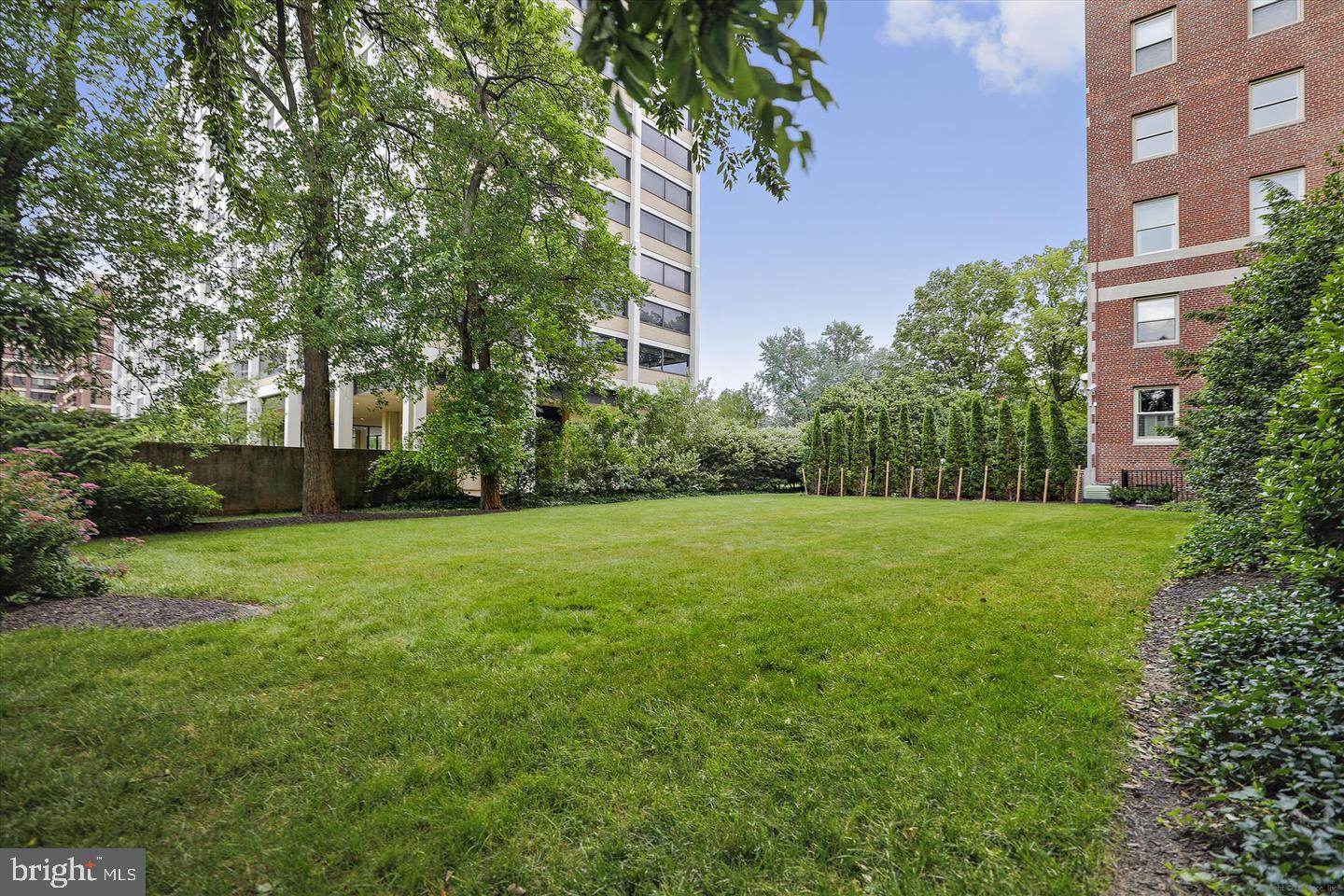 3908 North Charles Street, Unit 501 Baltimore, MD 21218 - Photo 45 of 54 a view of a backyard with plants and large trees