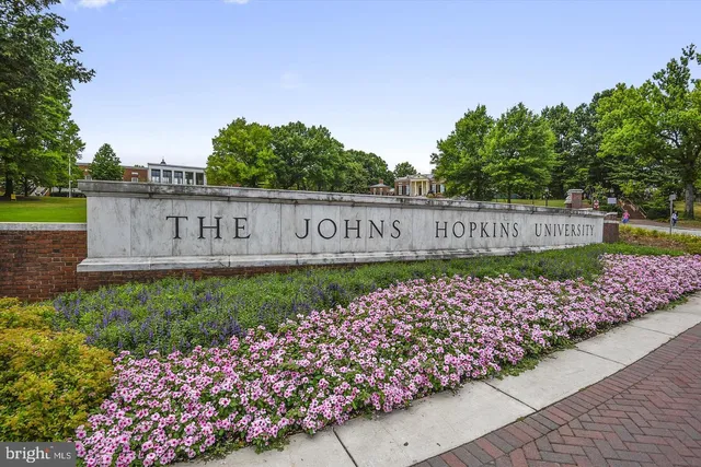 a view of a patio with chairs and plants