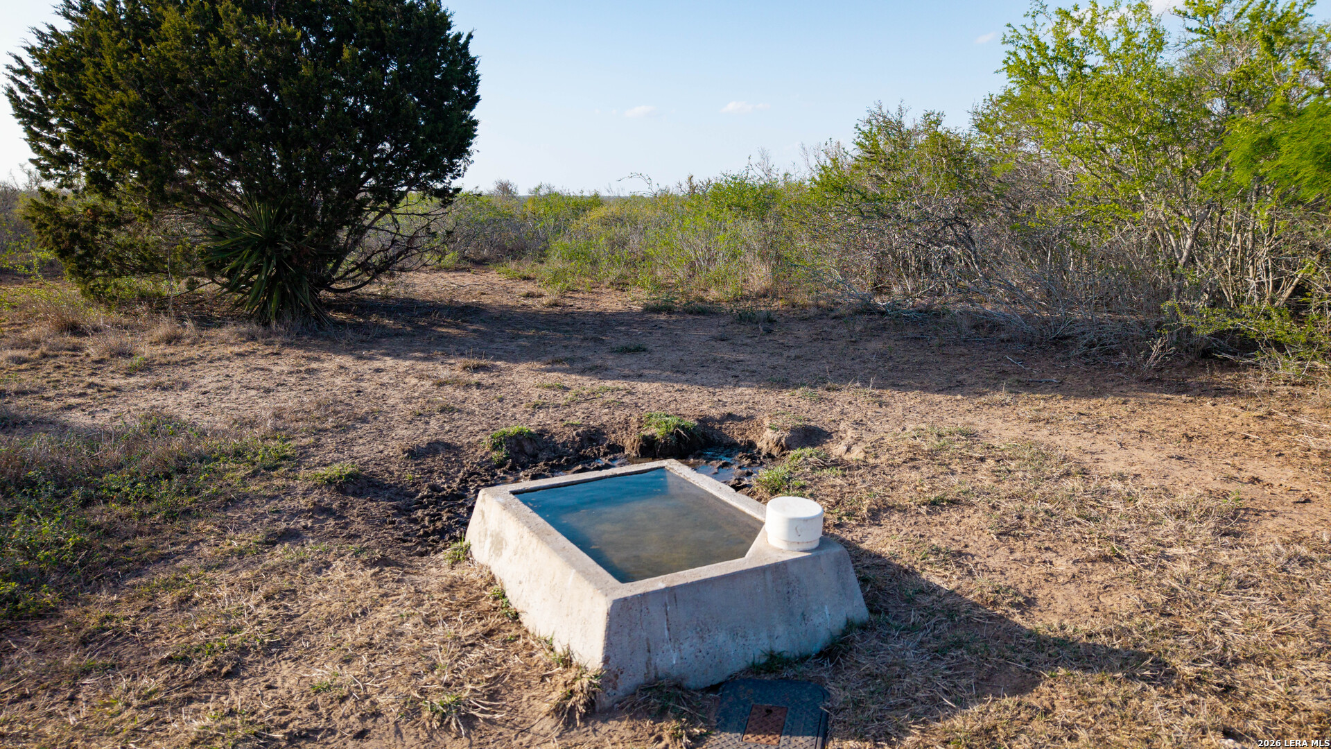208 Well Pad Road George West, TX 78022 - Photo 31 of 48