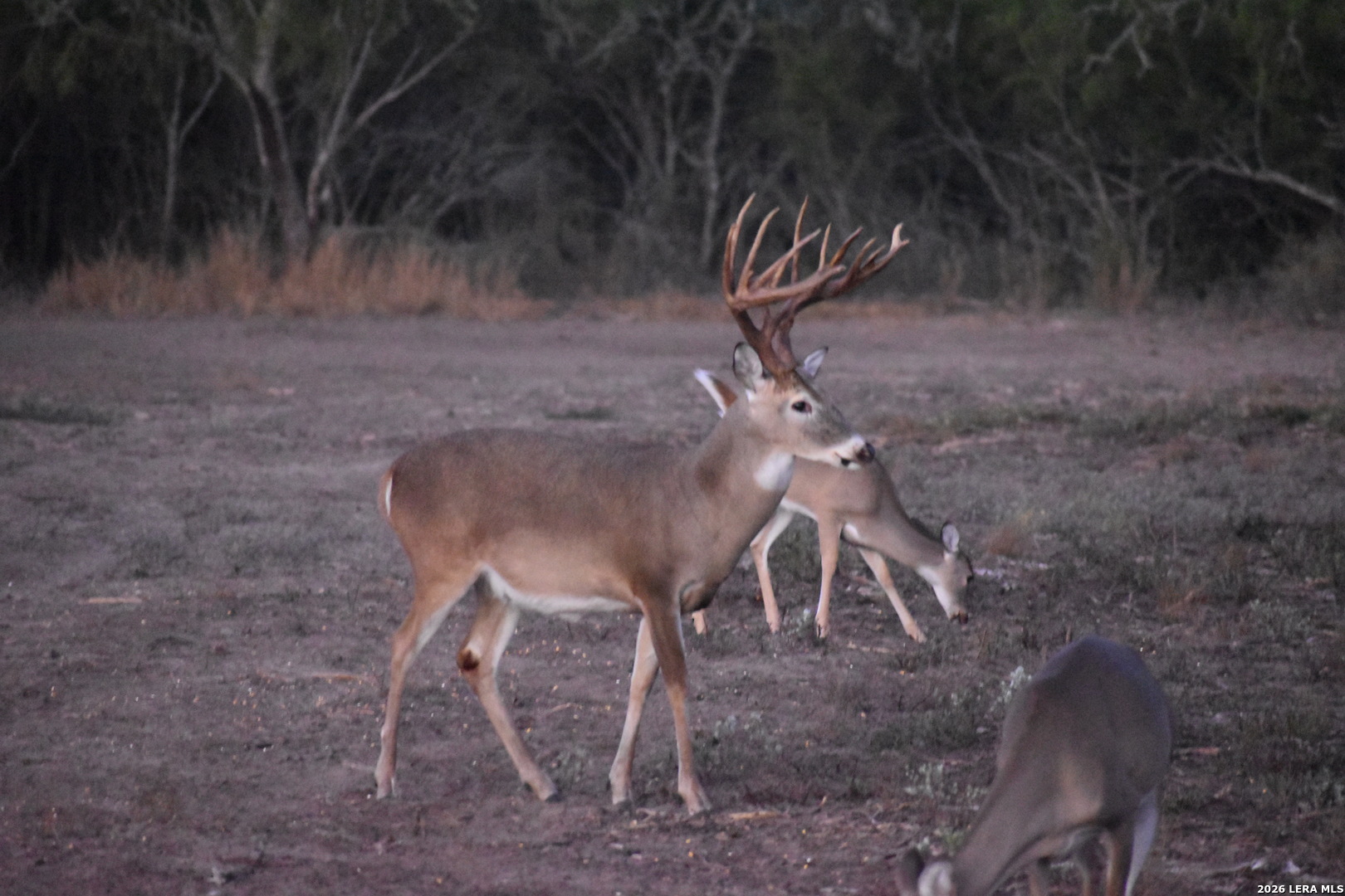 208 Well Pad Road George West, TX 78022 - Photo 40 of 48