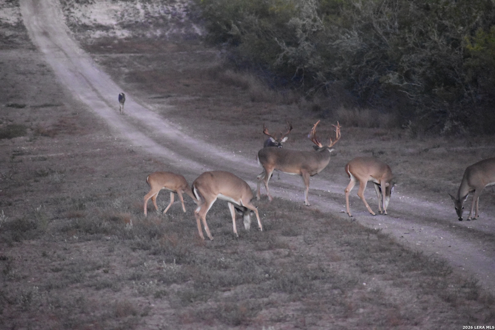 208 Well Pad Road George West, TX 78022 - Photo 41 of 48