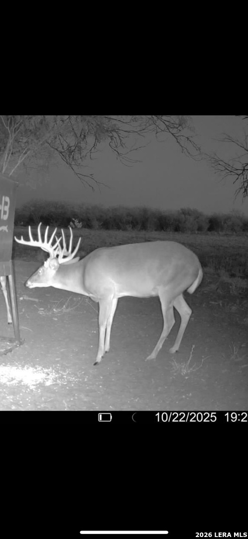 208 Well Pad Road George West, TX 78022 - Photo 42 of 48