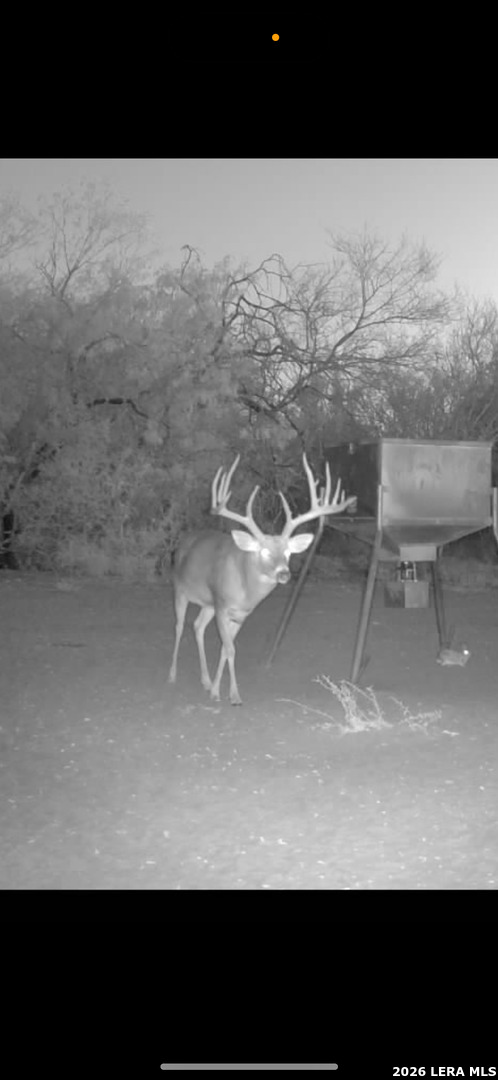 208 Well Pad Road George West, TX 78022 - Photo 43 of 48