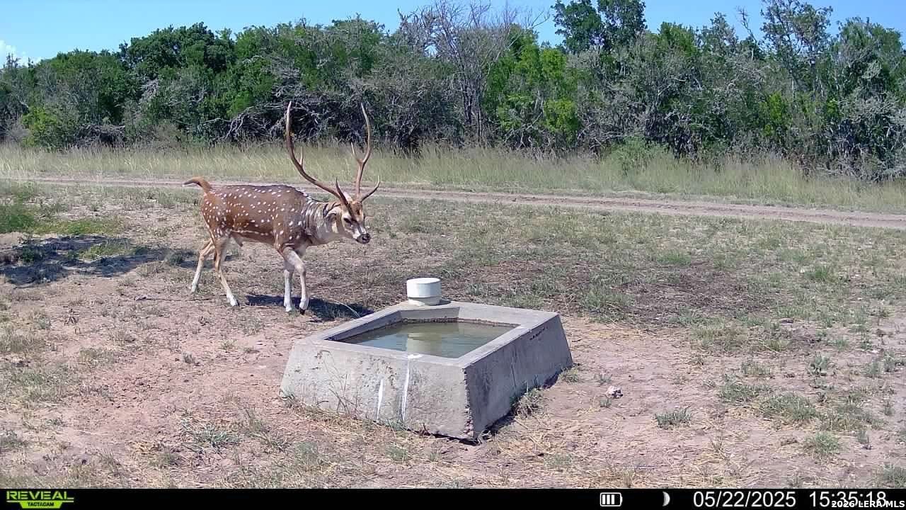 208 Well Pad Road George West, TX 78022 - Photo 44 of 48