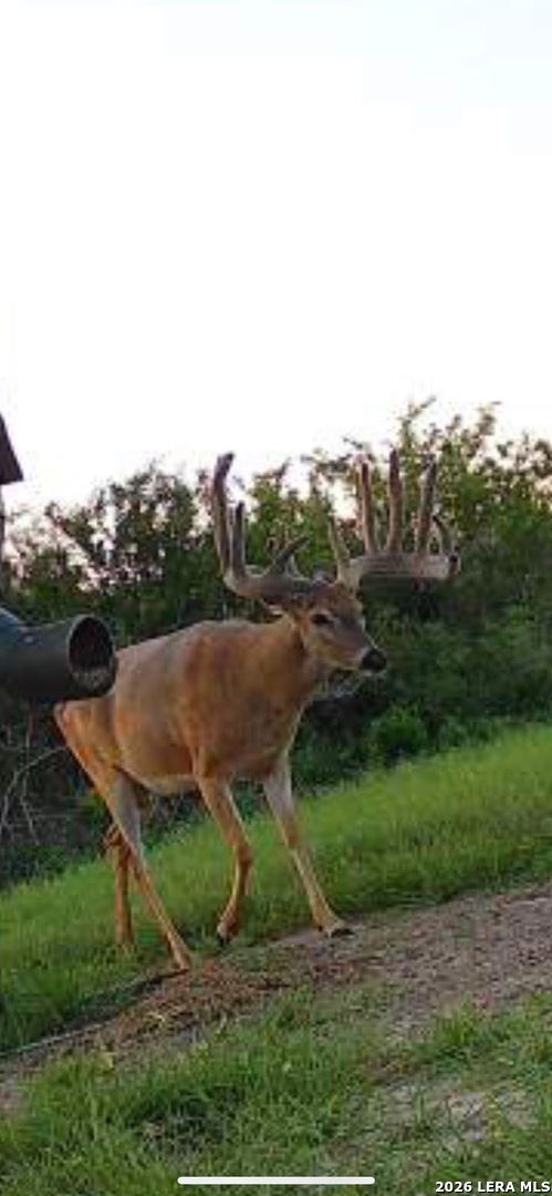 208 Well Pad Road George West, TX 78022 - Photo 46 of 48