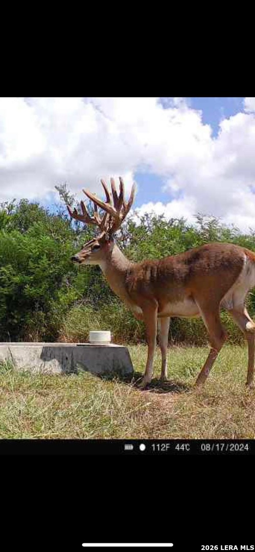 208 Well Pad Road George West, TX 78022 - Photo 47 of 48
